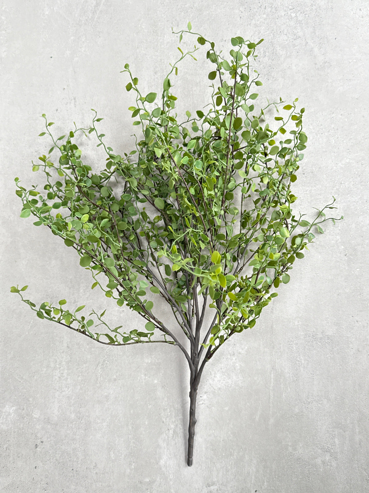 Faux Muehlenbeckia leaf spray green 51cm